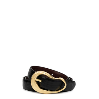 The Formosa Belt - Black Lizard