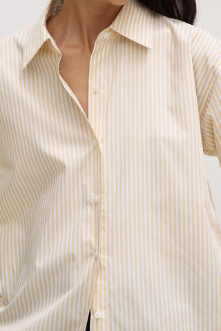 Signature Poplin Shirt - Camomile/White