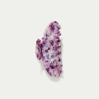 Grande - Orchid